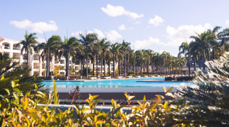 A resort pool deck framed by tall palms, with low buildings beyond.
